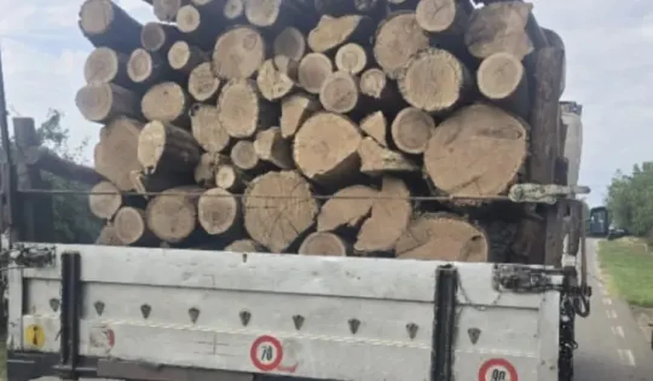 Deșeuri descărcate pe câmp la Iepurești: amendă de 30.000 de lei și autoutilitară indisponibilizată