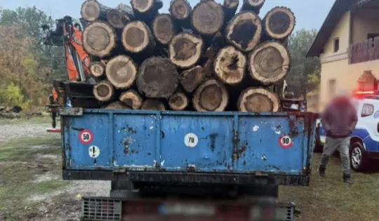 Călugăreni, Stoenești și Valea Plopilor: 9 percheziții pentru braconaj; un tânăr, reținut