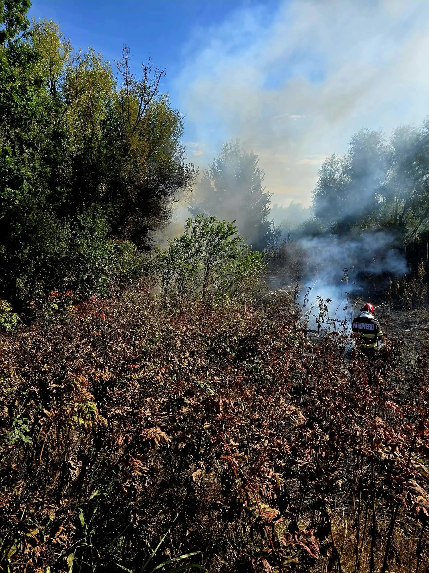 Giurgiu, Dobreni și Ghizdaru: trei incendii de vegetație în câteva ore