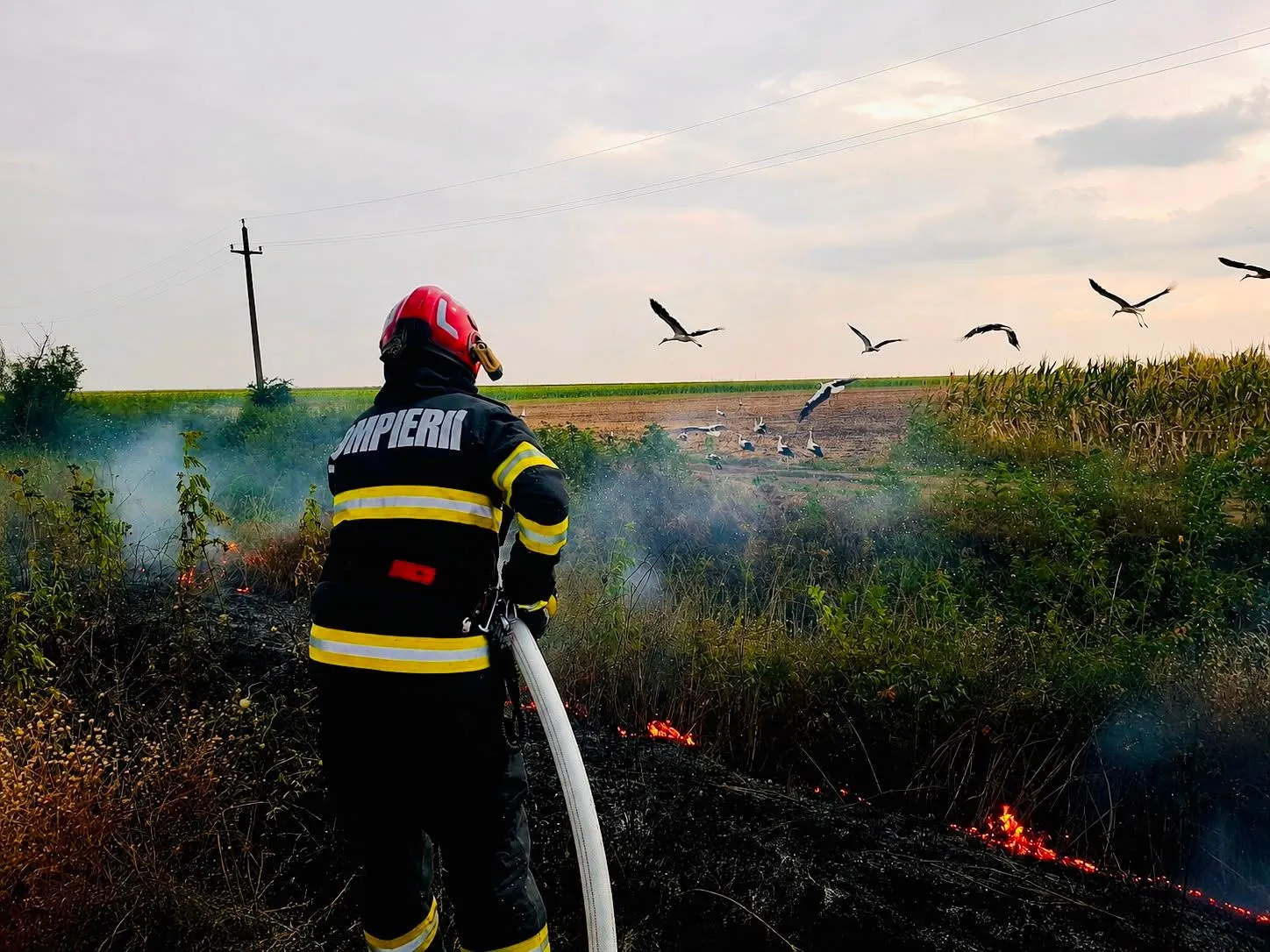 ~68 ha arse în Giurgiu: miriște la Gogoșari, Băneasa, Gostinu și Trestieni