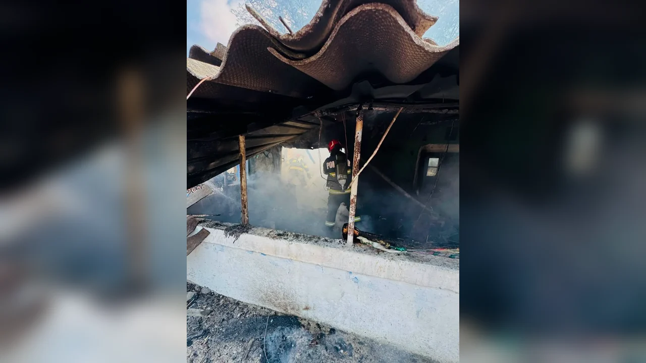 Incendiu într-o gospodărie din Gogoșari, pe strada Ion Manea