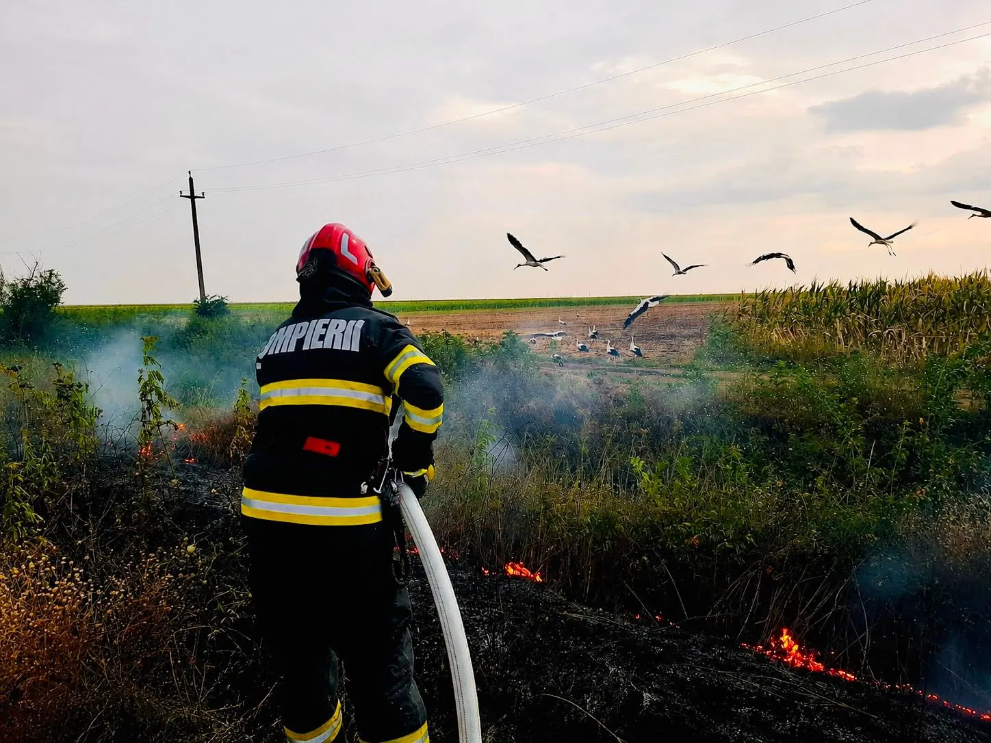 Incendii de vegetație uscată în șapte localități din județul Giurgiu