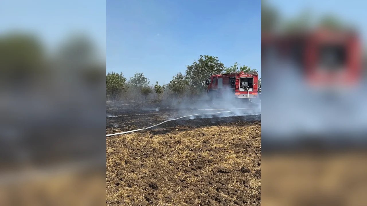 Incendiu de vegetație la Frătești, unul dintre cele patru focare pe circa 11 hectare