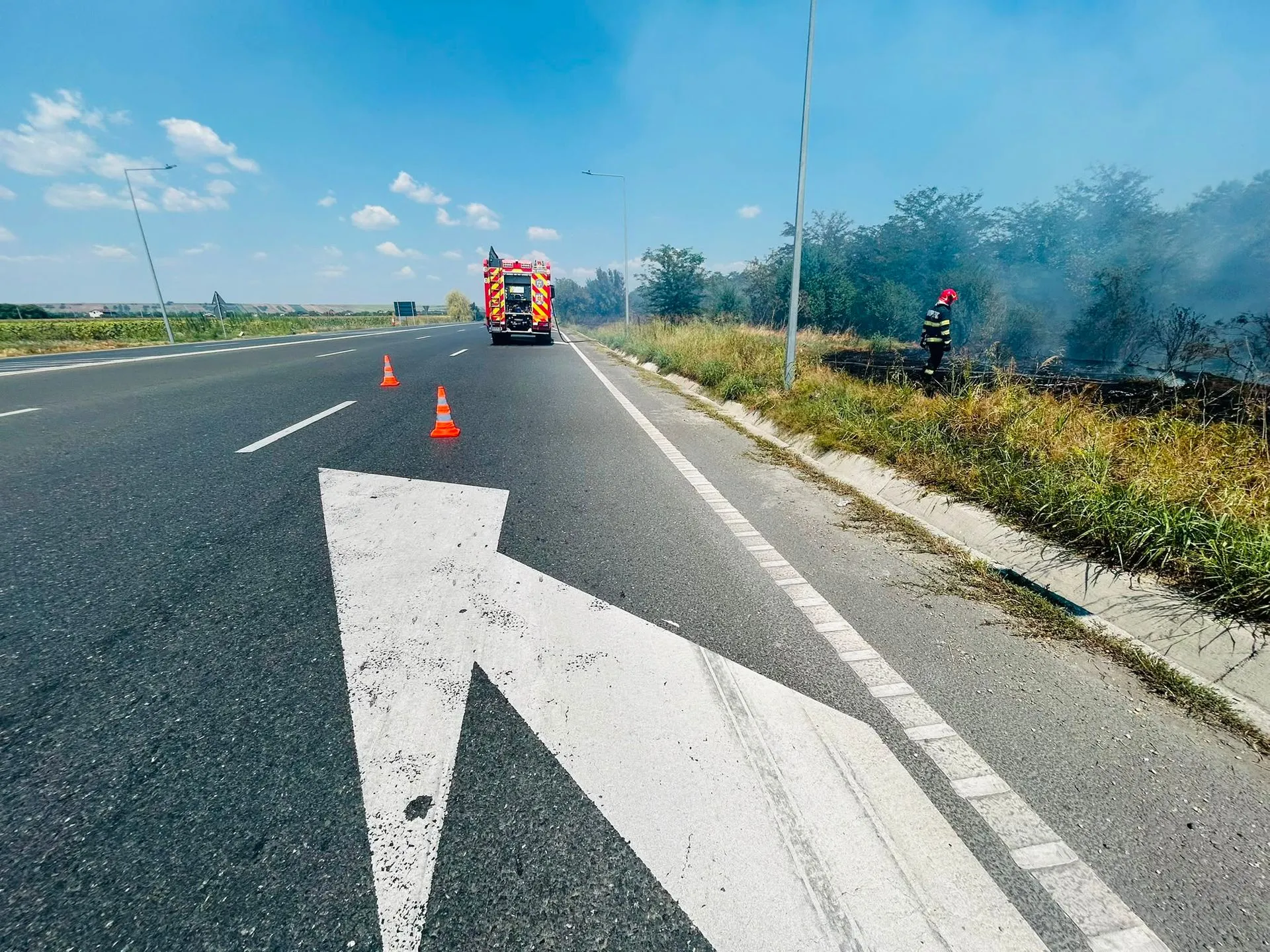 Foc de vegetație la Frătești: fum aproape de DN 5, culturi de floarea-soarelui protejate