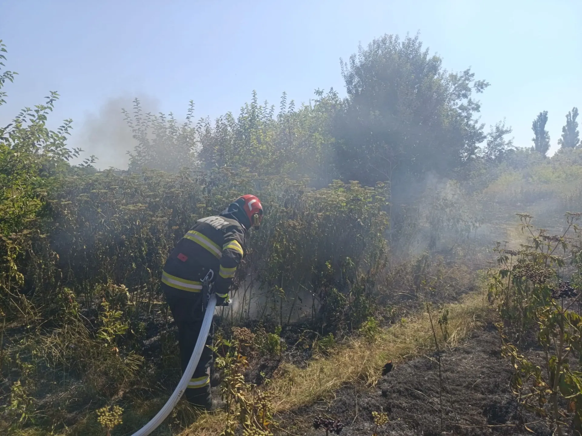 Patru incendii de vegetație uscată în județul Giurgiu, pe fond de foc deschis