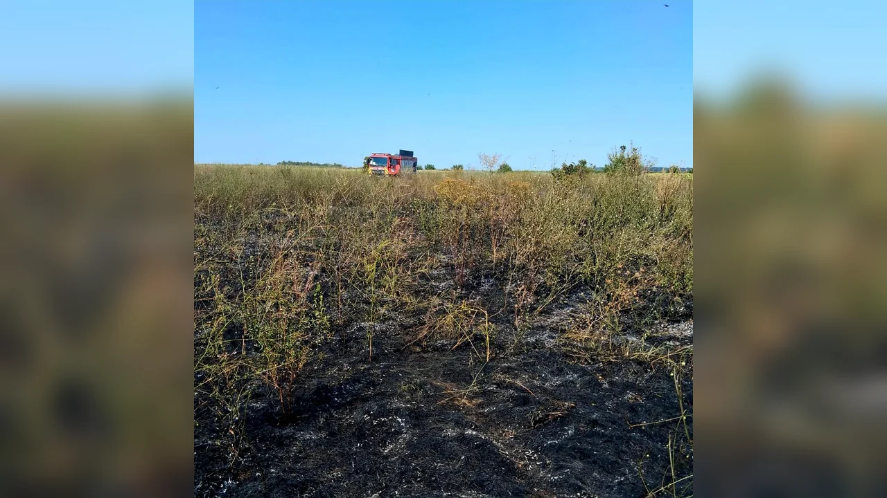 Patru incendii de vegetație uscată în județul Giurgiu, în ultimele ore
