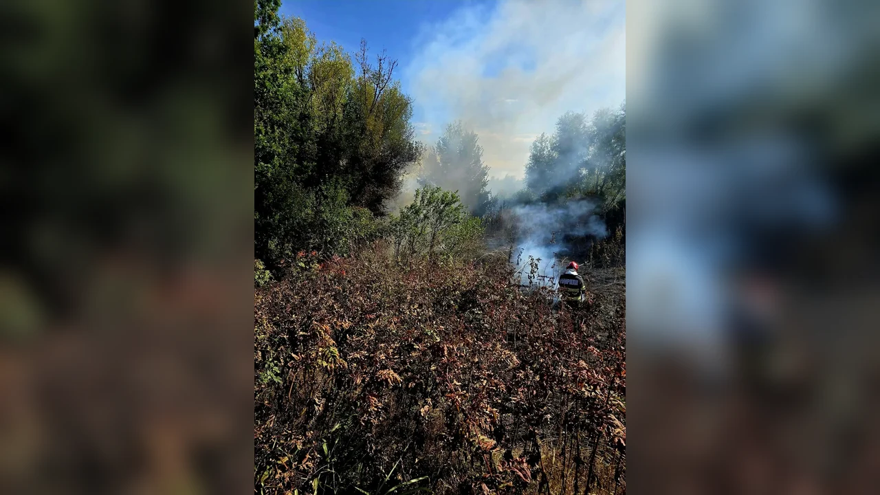 Roata Mică, Cosoba și Roata de Jos: 2,3 hectare arse lângă case